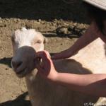 IMG_10007.jpg