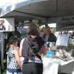 Dyanna answers inquiries on Saturday