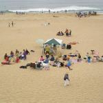 Sand-n-Surf Vegan Food Party 2008