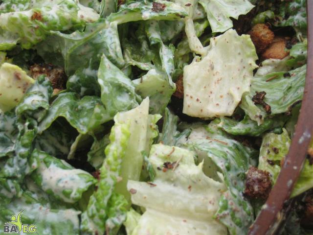 Green Salad