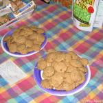 Pacifica Meat Out Event - Emotional World of Farm Animals Screening