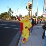 Chicken Needs Help!