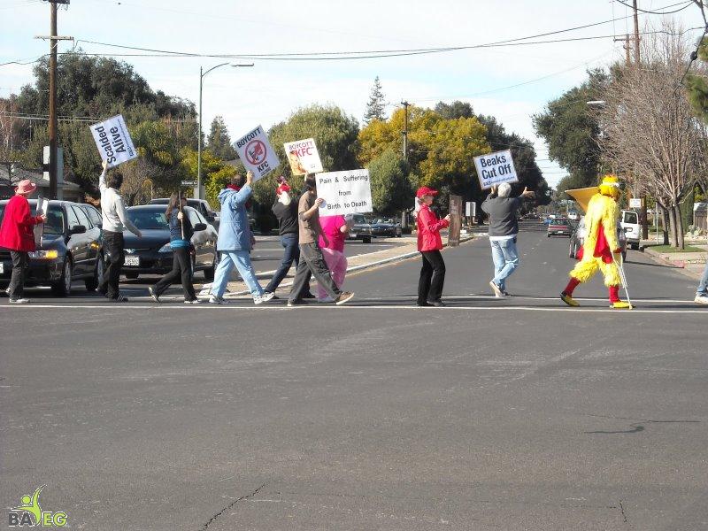KFC Protest 02-07-09 039