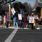 Protesting KFC Cruelty - Boycott KFC