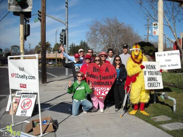 Protesting KFC Cruelty - Boycott KFC