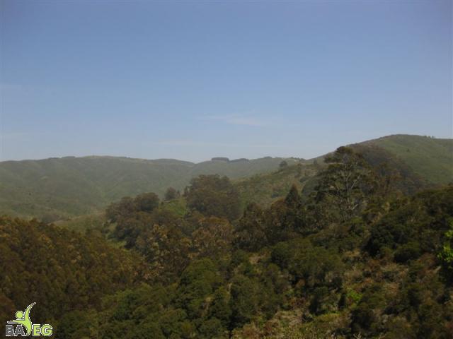 View from the trail