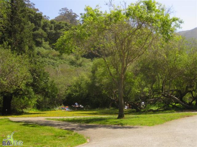 Drop-in picnic grounds