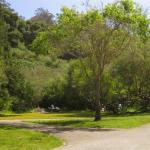 Drop-in picnic grounds