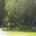 Drop-in picnic grounds