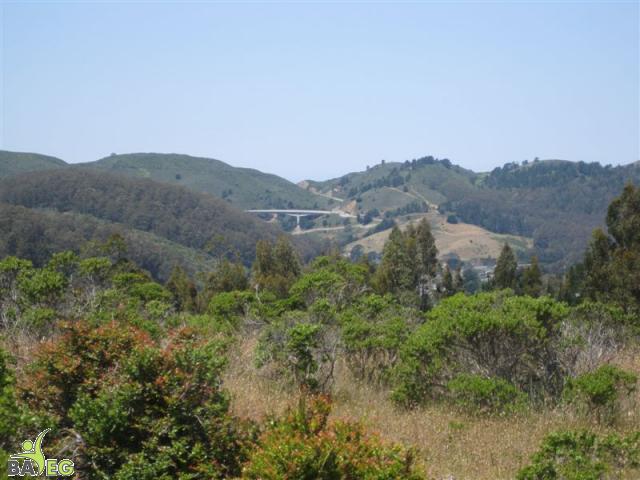 View on the Valley View trail