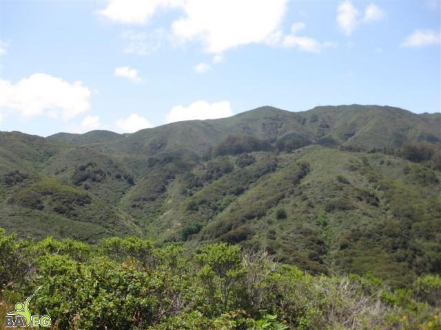 View on the Valley View trail