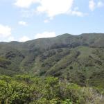 View on the Valley View trail