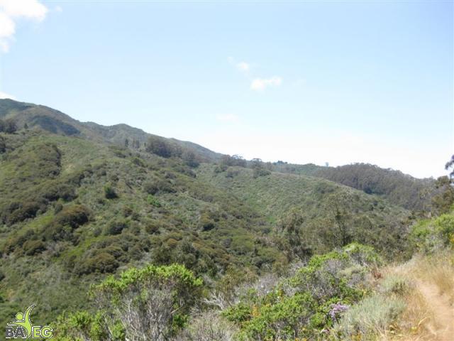 View on the Valley View trail