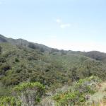 View on the Valley View trail