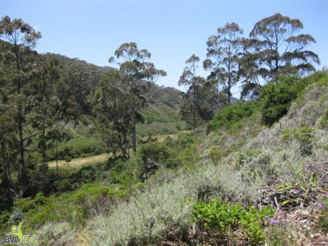 View on the Valley View trail