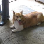 Mindy