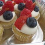 Sand-n-Surf Vegan Food Party 2009