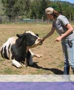 BAVeg Pledges $500 to Animal Place